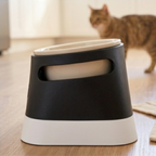 Elevated pet bowl with custom pet name 