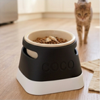 Elevated pet bowl with custom pet name 