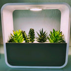 Ambient RGB LED lamp and drip tray planter designed for a clean, mess-free setup.