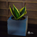 Planter with Drip Tray