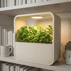 Ambient RGB LED lamp and drip tray planter designed for a clean, mess-free setup.