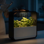 Ambient RGB LED lamp and drip tray planter designed for a clean, mess-free setup.