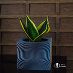 Self Watering Planter