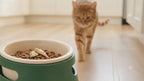 Pet Bowl Stand With Custom Name